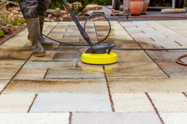 Best Animal Enclosure Cleaning  in Elgin, TX