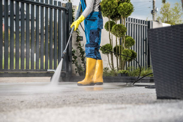 Best Solar Panel Cleaning  in Elgin, TX